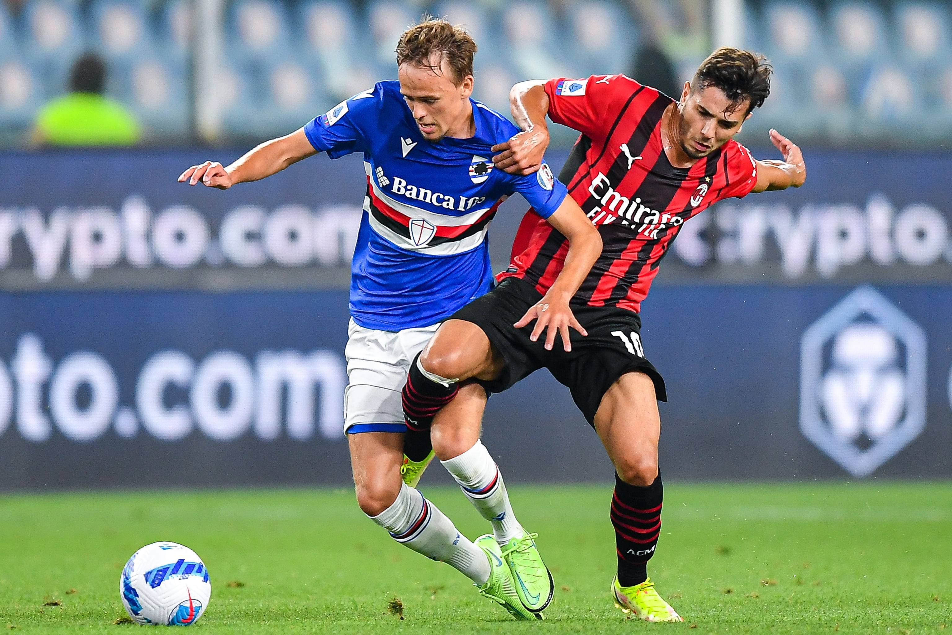 在近期的一 在近期的一