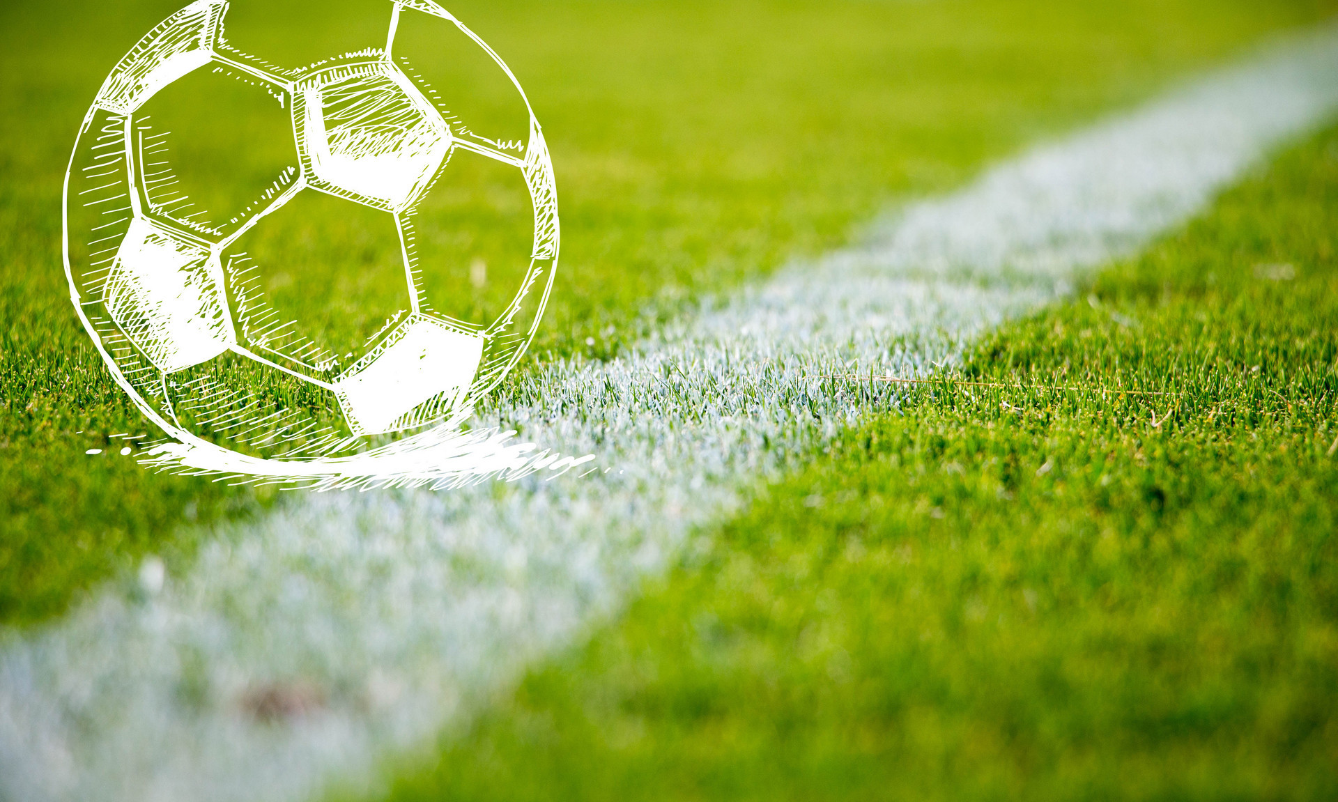 来之所以能 来之所以能